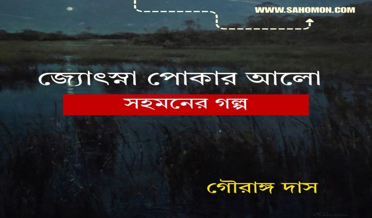 জ্যোৎস্না পোকার আলো