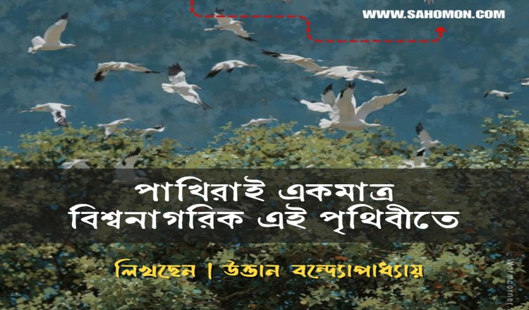 পাখিরাই একমাত্র বিশ্বনাগরিক এই পৃথিবীতে